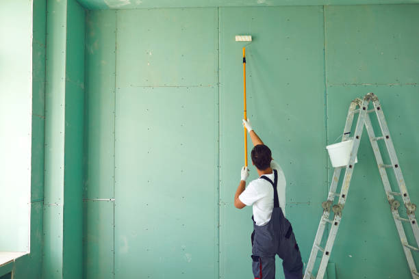 Best Mold Documentation for Insurance Claims  in Petersburg, AK