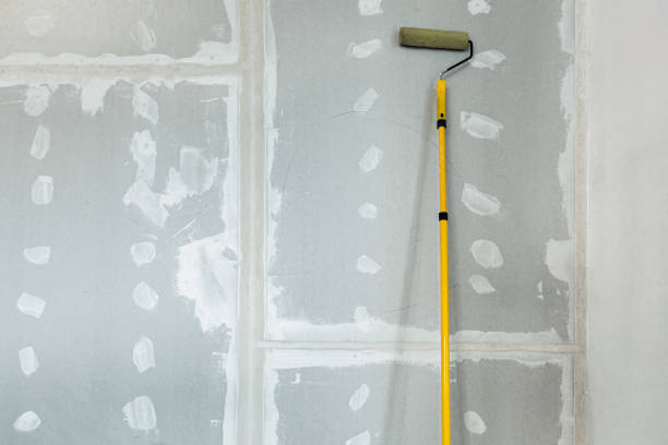 Biohazard Mold Removal in Petersburg, AK