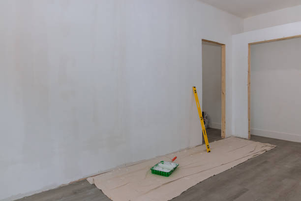 Best Mold Damage Restoration  in Petersburg, AK
