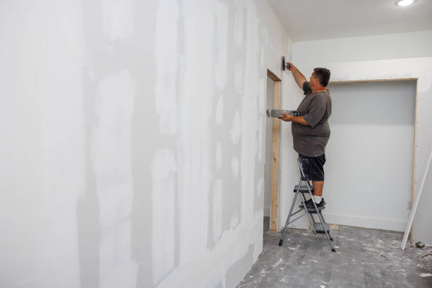 Best Commercial Mold Inspection  in Petersburg, AK