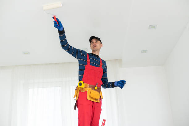Professional Mold Removal in Petersburg, AK