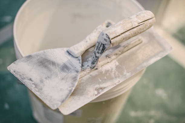 Best Crawl Space Mold Remediation  in Petersburg, AK