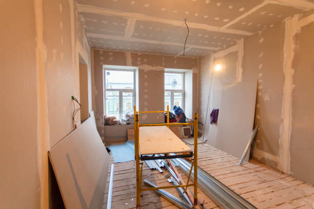Best Mold Remediation for Vacation Homes  in Petersburg, AK